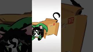 freek Circus características cute cat