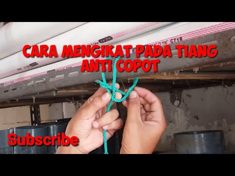 Cara mengikat Tali yang kencang pada Tiang anti Copot #ikattali #ikatkayu