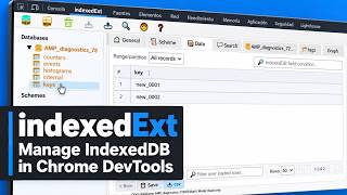 How to Inspect and Manage IndexedDB with indexedExt
