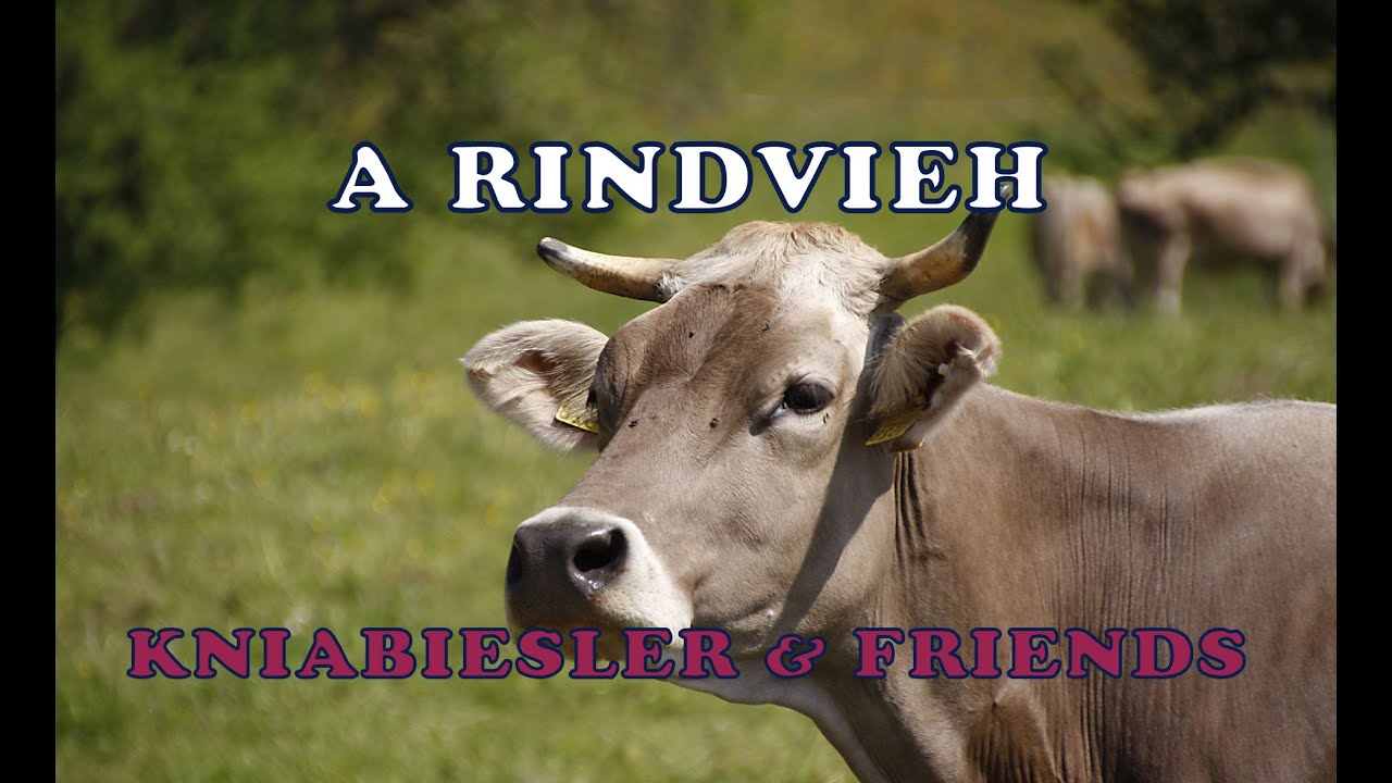 A Rindvieh - Original Wirtshausmusik Kniabiesler & Friends