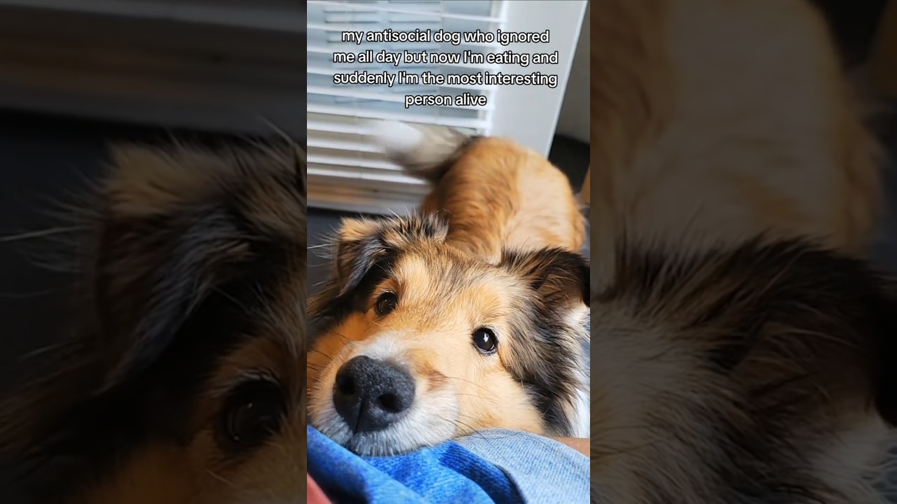 This is my favorite video I have 🥹 