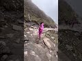 #shorts #adventure #trekking #tungnath #chandrashilatrekking #nature
