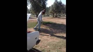 Cilgin Tesisatci Dans