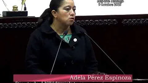 DIPUTADA ADELA PEREZ ESPINOZA COMENTA ACERCA DEL T...