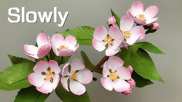 ABC TV | How To Make Apple Blossom Paper Flower With Shape Punch (Slowly) - Craft Tutorial