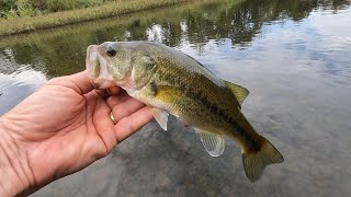 Wade Fishing Arkansas' Ouachita River - Multi-Species Fish Catching