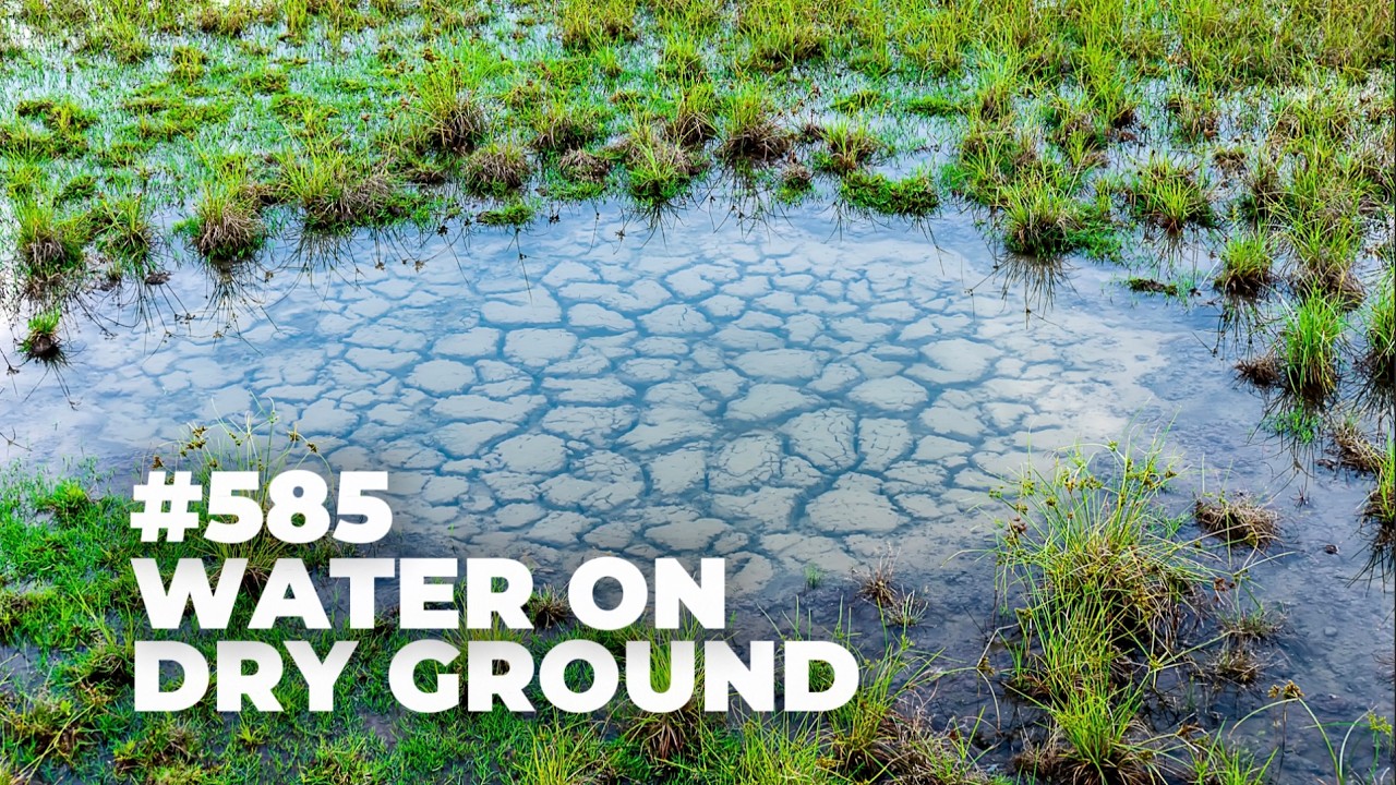 #584 - Water on Dry Ground