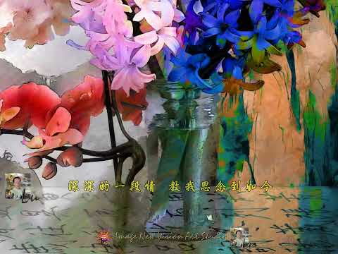 月亮代表我的心  (KTV)