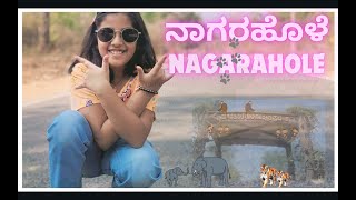 Nagarahole || Wildlife Safari || Tiger Reserve || Veeranahosahalli || Nanachi || Kannada Vlog || Ep1