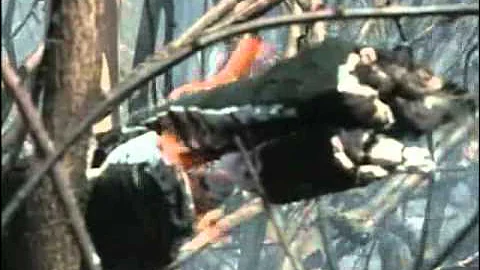 Crews Battle Blaze For An Hour