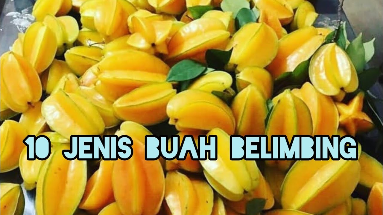 10 видов карамболы в Индонезии