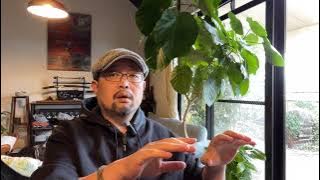 闲扯两句：伊朗跟中国有什么区别，为什么伊朗的抗议能取消了“道德警察”