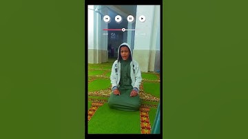 القارئ اسامه حسنى