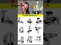 Triceps workout at gym/ Best triceps workout/ #viral #tranding #fitneess #short #yt