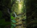 Nature Relaxation | Gentle Waterfall &amp; Forest Sounds