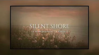 TV Screensaver | Silent Shore: 3 Hours of Serene Coastal Scenery