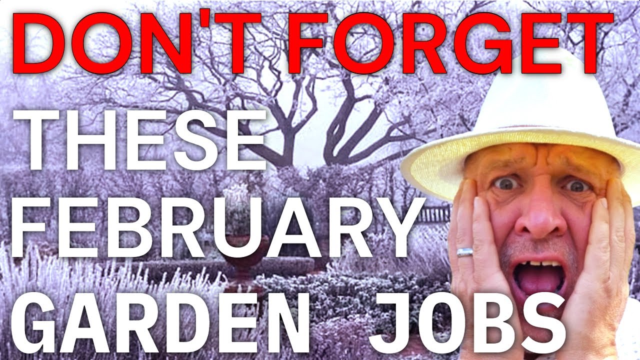 Не забудьте про эти работы по благоустройству сада в феврале.