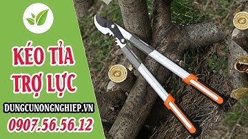 Trên tay kéo cắt cành bánh răng thông minh HM662 | Dungcunongnghiep.vn