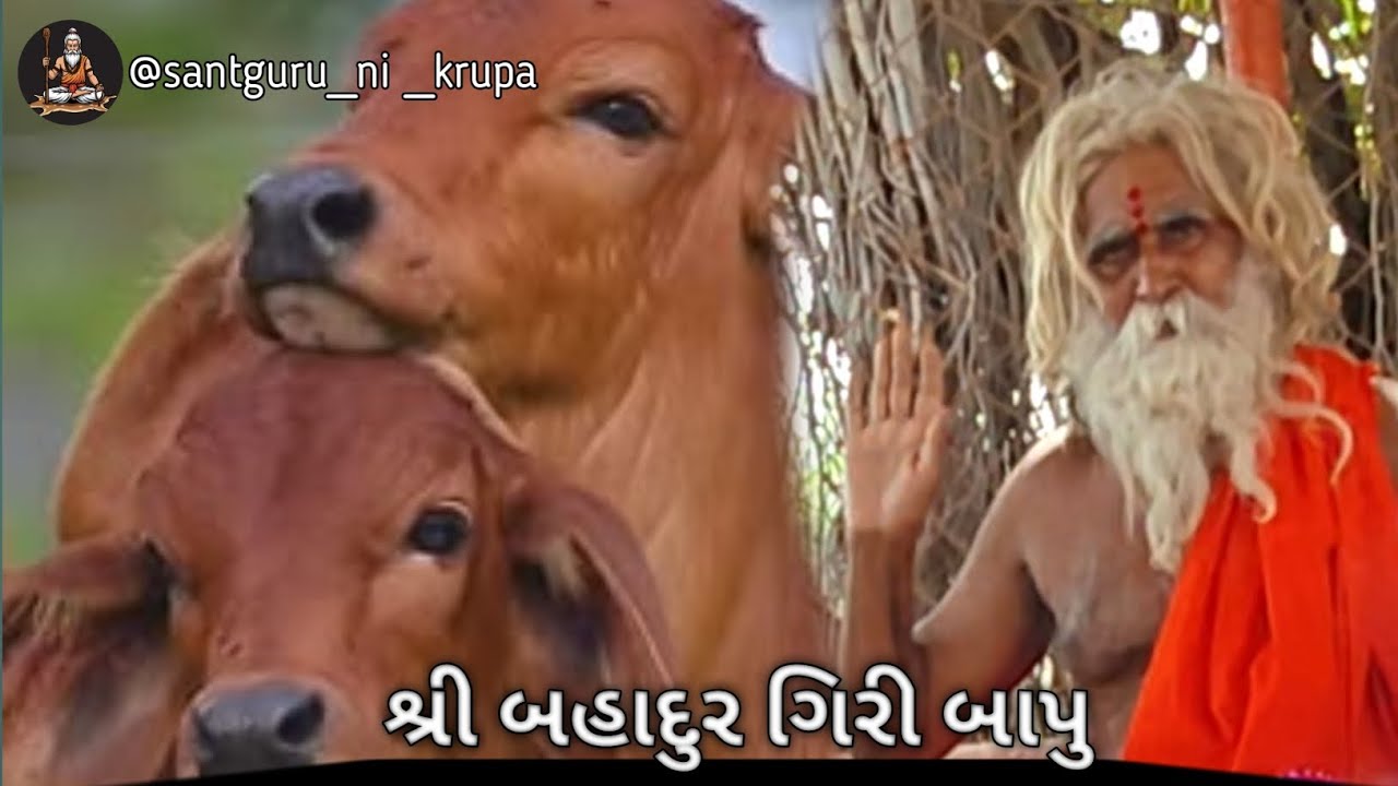 શ્રી બહાદુર ગિરીબાપુ ના આશ્રમ🥰#viral #trend#like#sher#subscribe 