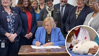 Celebrity Maine Just Banned Animal-Tested Cosmetics: What You Need to Know! Net Worth