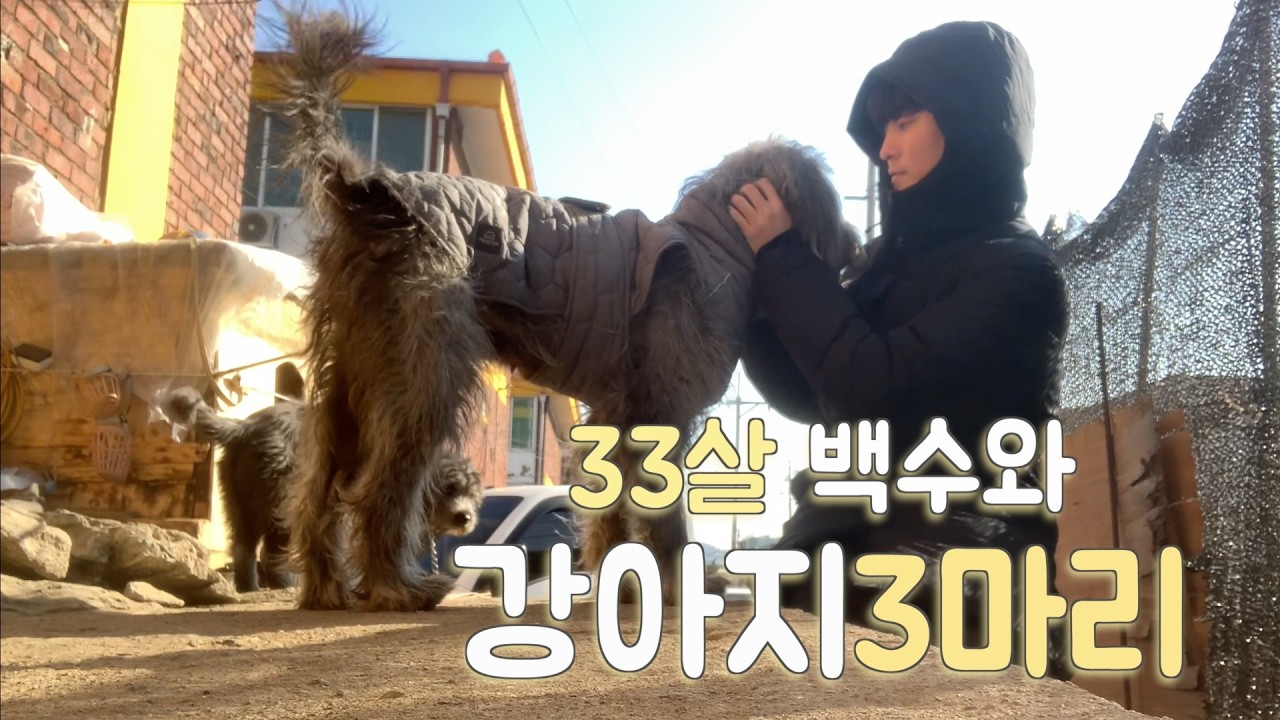 길냥이 밥 주러 갔다가 새끼 강아지 잡으러 다닌 날