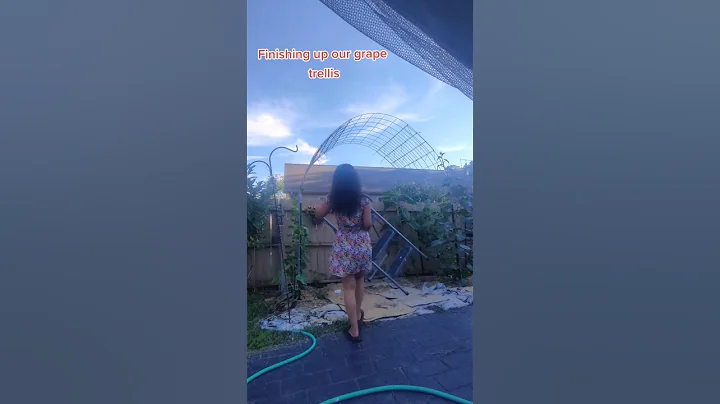 Lookingback at last year accomplishement arch trellis at the backyard for more vegetables