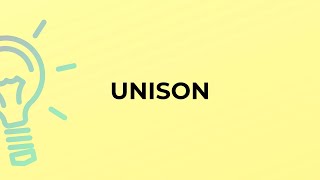 What is the meaning of the word UNISON?