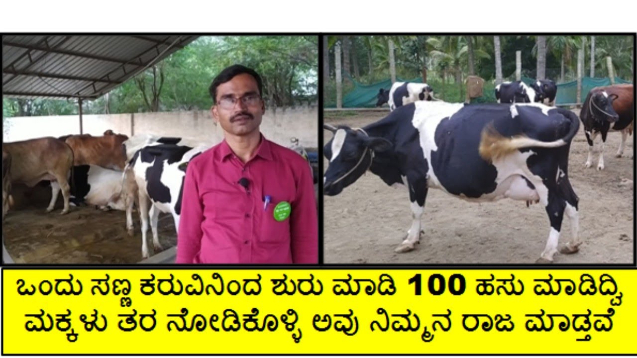 5 ಲೀ. ಹಾಲಿನಿಂದ ಶುರುಮಾಡಿ 550 ಲೀ. ಹಾಲು ಡೈರಿಗೆ ಹಾಕಿದ್ವಿ....ಹೈನುಗಾರಿಕೆಯಲ್ಲಿ ಖಂಡಿತ ಲಾಭಾಂಶವಿದೆ