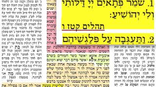דף יומי מסכת נידה דף מה Daf yomi Nidda daf 45