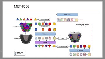 Self-Supervised Learning With Masked Autoencoders for Teeth Segmentation From Intra-Oral 3D Scans