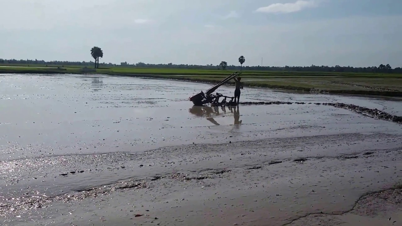 Child can Plaughing for Farming|Cambodia Farming