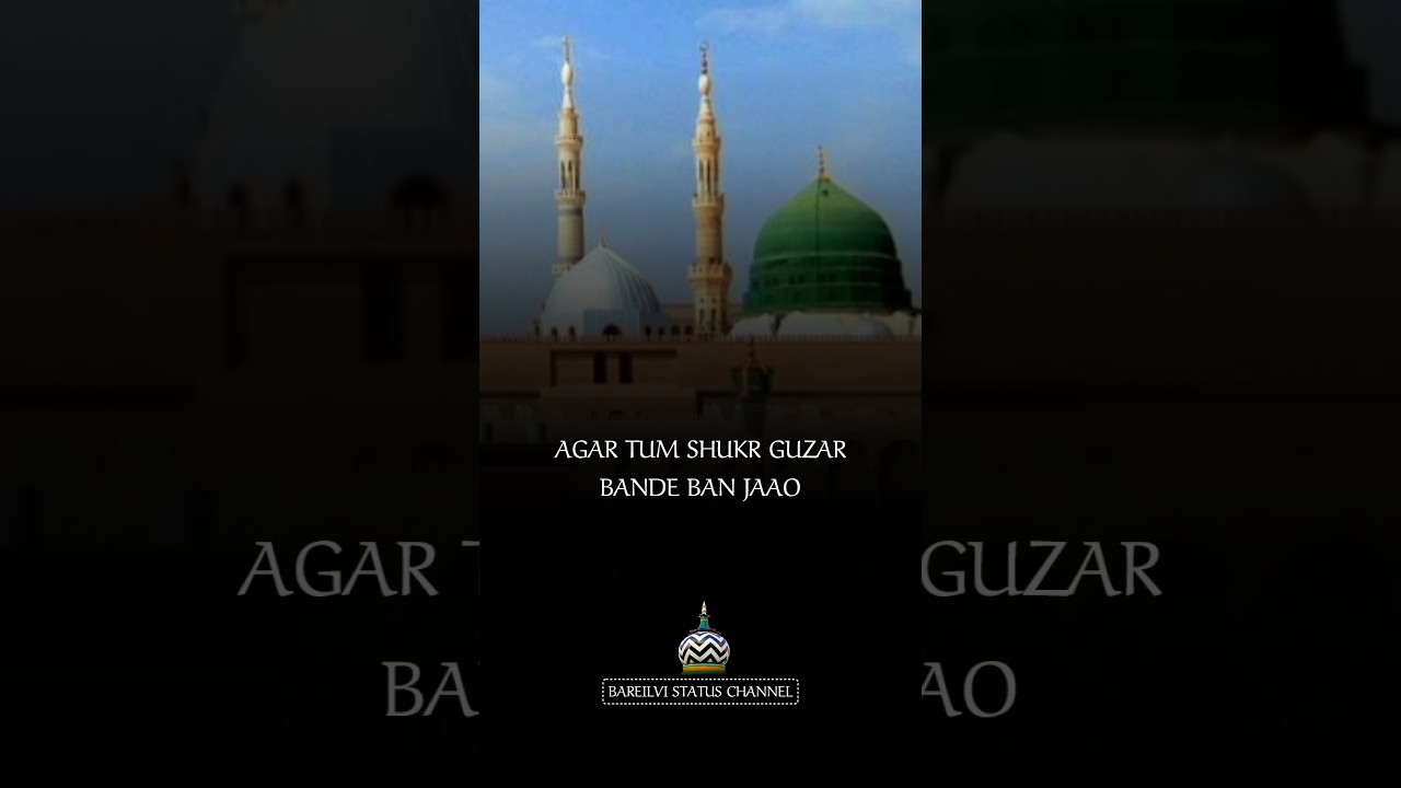 KAAMIL MOMIN KOUN HOTA HAI| AJMAL RAZA QADRI| BAREILVI STATUS CHANNEL| 