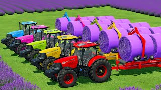 HARVEST, LOAD & MAKE LAVENDER BALES WITH CASE TRACTORS & JOHN DEERE HARVESTERS - FS22 screenshot 4
