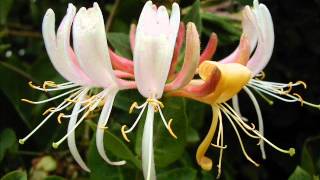 8 2 PROPAGATION
