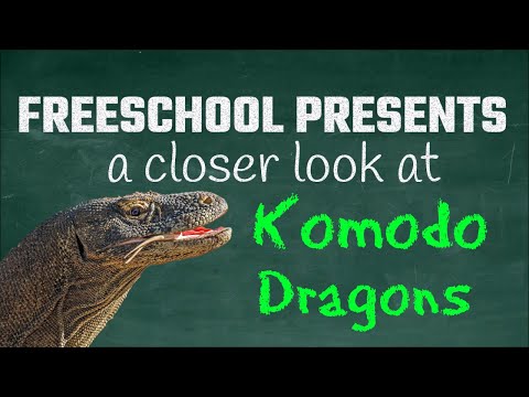 Parthenogenesis, Venom Glands and Morea Closer Look at Komodo Dragons