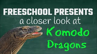 Parthenogenesis, Venom Glands and More: FreeSchool Presents a Closer Look at Komodo Dragons