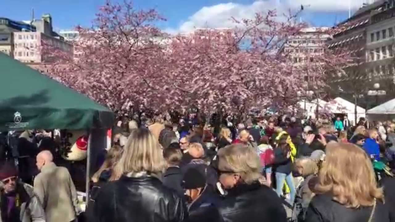 fest tjeck dildo i Stockholm fest tjeck dildo i Stockholm