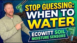 Real-Time Plant Monitoring: Is It Worth It? Ecowitt Soil Sensors