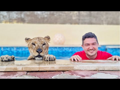 سبحنا مع اسدنا الجديد جنوووون