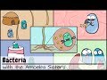 Gene mapping in E.coli - YouTube