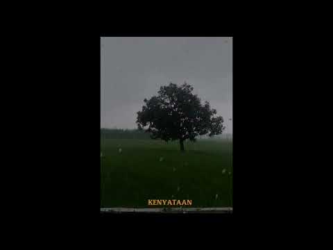 Slank - Tepi Campuhan (Live Acoustic Performance) - Slankustik