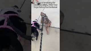 Calm Before The Storm Hurricane Milton Approaches