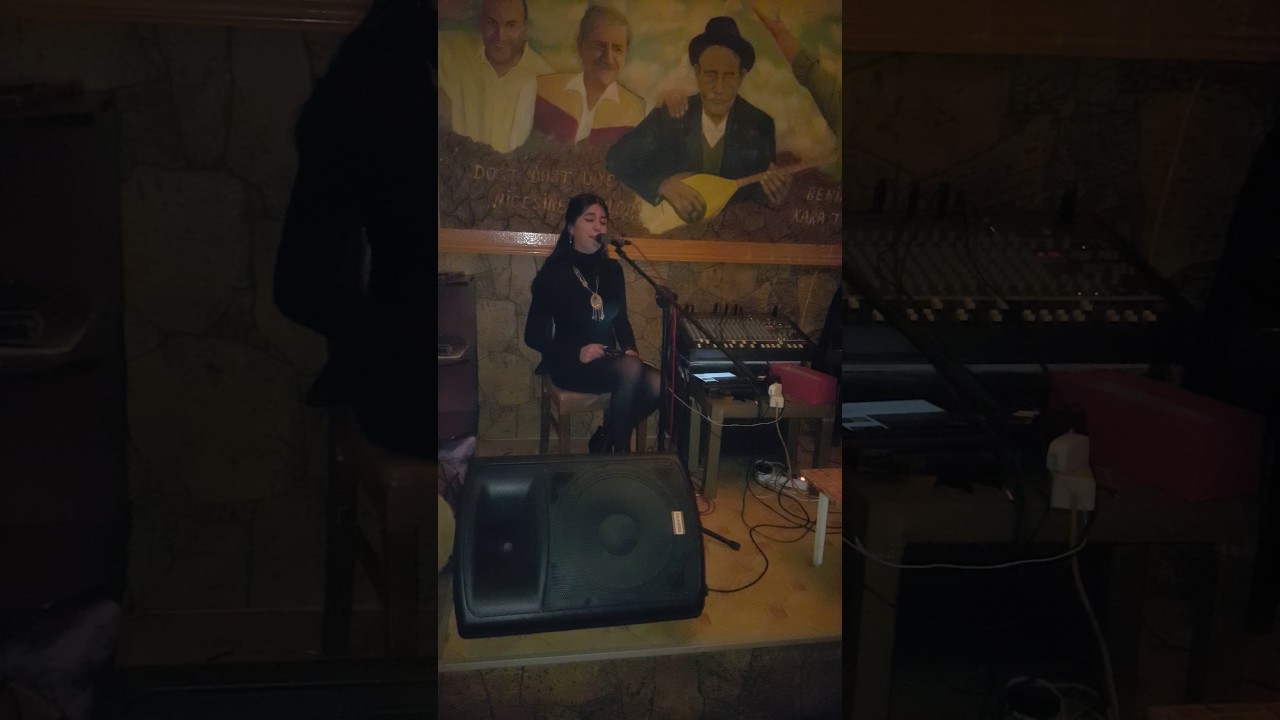 Watch Dilan Rojava - Le Le Mere - Kürtçe Şarkı Canlı Performans on YouTube Watch Dilan Rojava - Le Le Mere - Kürtçe Şarkı Canlı Performans on YouTube