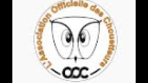 Vidéo de présentation de la chaîne YouTube de l