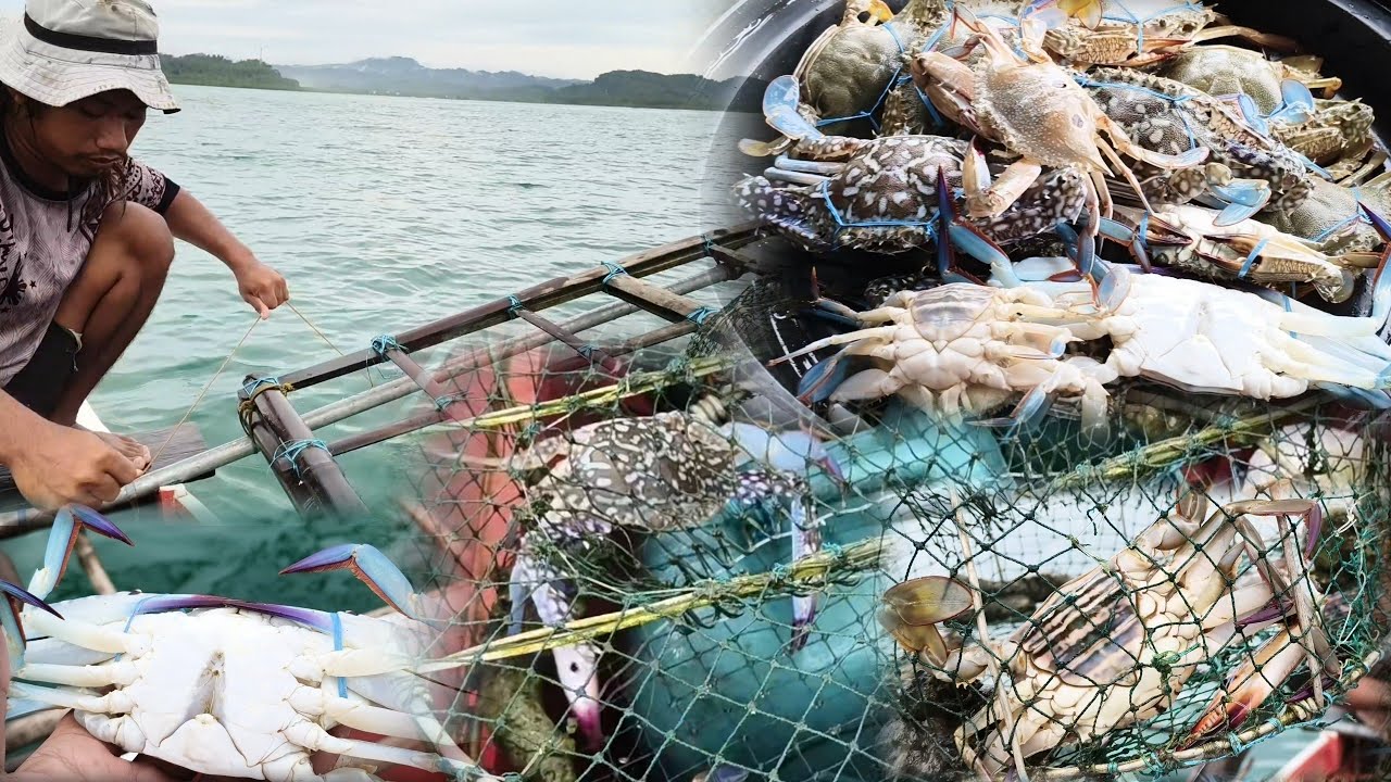 Sapol nanaman ang mga alimasag sa malalim na spot | CATCH & SELL