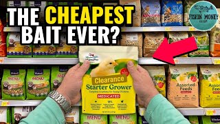 I Found THE CHEAPEST Bait Fish Can't Resist (Surprising)￼
