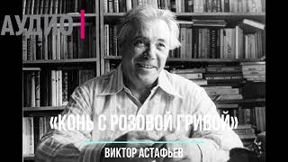 ПРИКЛЮЧЕНИЯ. ДЕТСТВО. СЛУШАТЬ АУДИОКНИГУ ВИКТОР АСТАФЬЕВ «КОНЬ С РОЗОВОЙ ГРИВОЙ» ОНЛАЙН