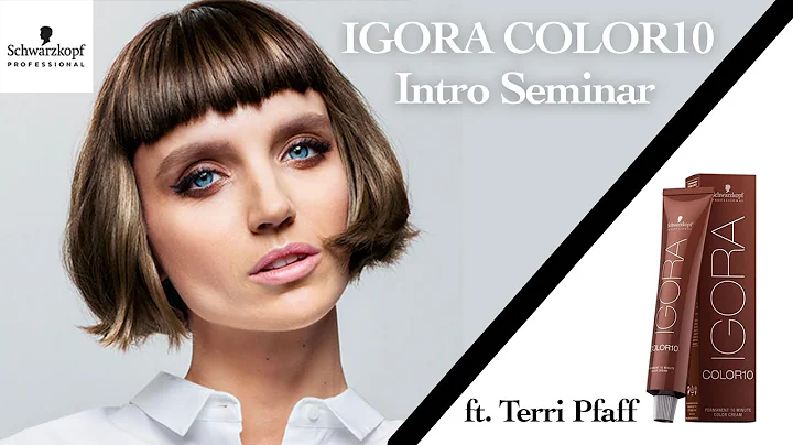 IGORA Color10 Intro Seminar | Schwarzkopf Professi...