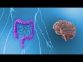 The Trap of Ultra Processed Foods