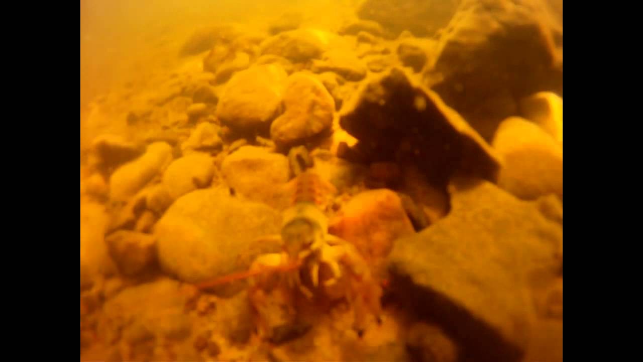 Long Lake, New Auburn WI YouTube